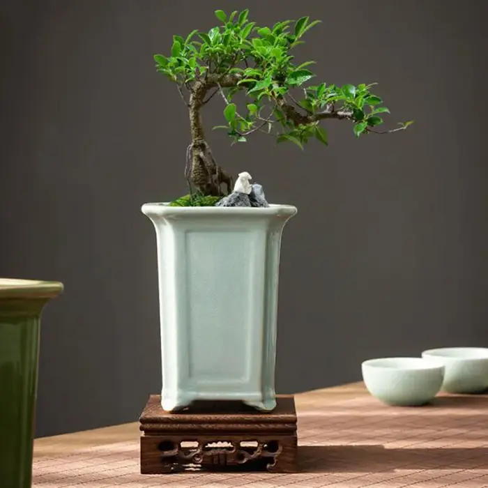 Pot de plante orchidée de style chinois Geyao