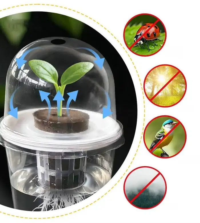 Pot hydroponique cylindrique Transparent en plastique