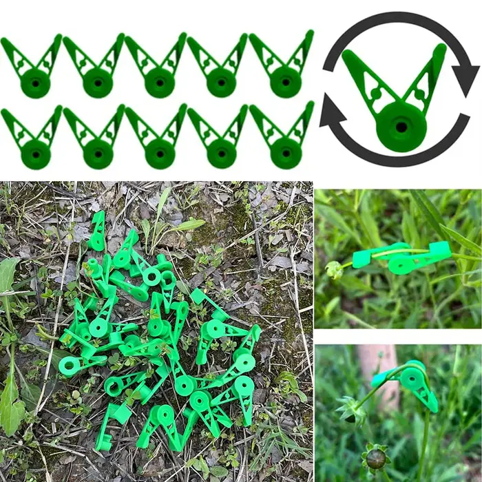 Clips de formation pour tiges de plantes