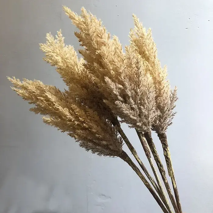 Ensemble de roseaux artificiels pour la décoration intérieure