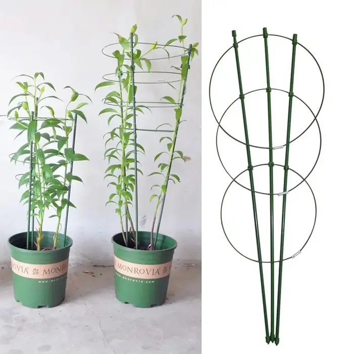 Support de plantes grimpantes, treillis de jardin, support de fleurs, anneaux de support de tomate,