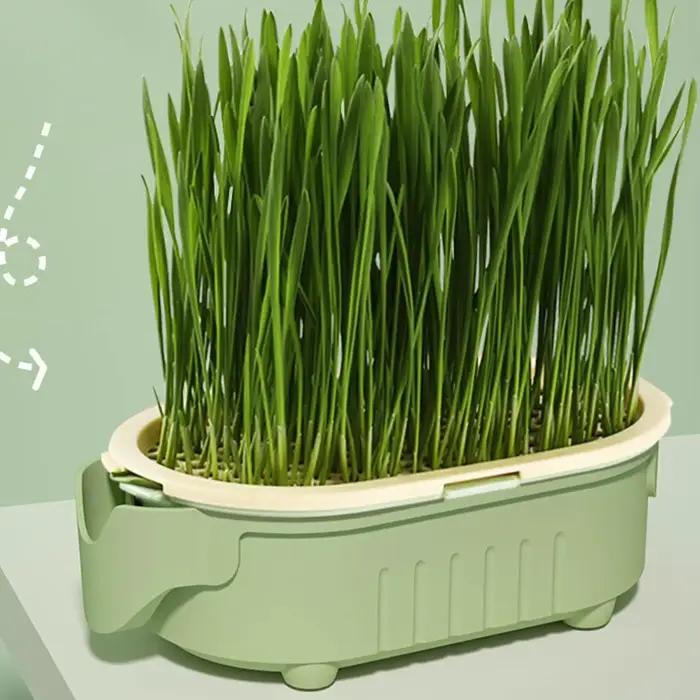 Nouveauté : Plateau de plantation pour herbe à chat en forme d'éléphant