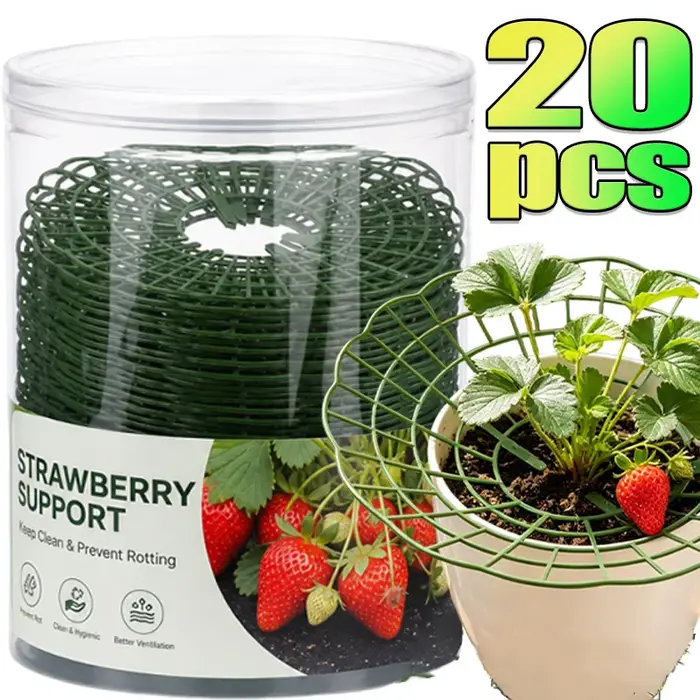 Supports de fraises anti-putréfaction