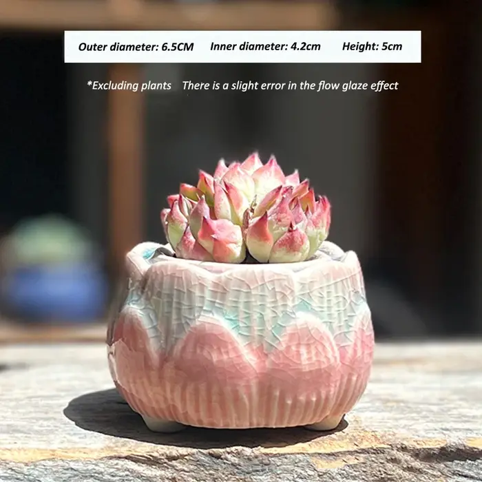 Pot à fleurs en céramique pour plantes succulentes