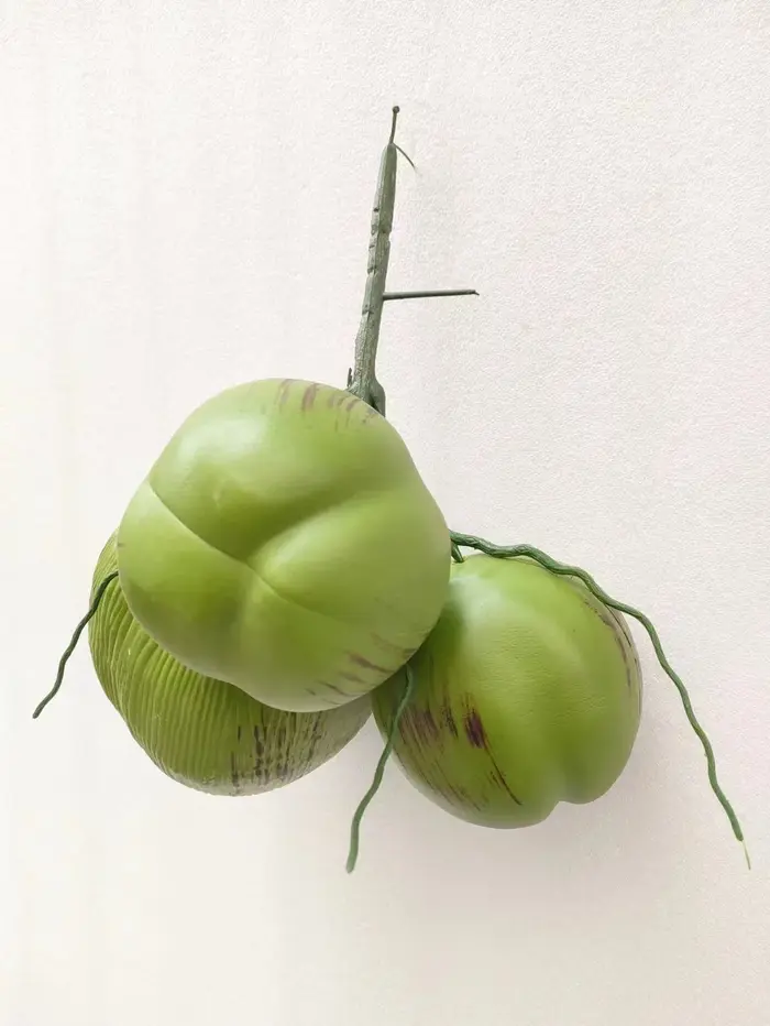 Simulation de fruits de cocotier