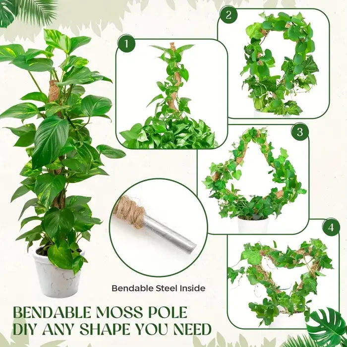 Poteau en mousse flexible pour plantes, en fibre de coco, support pour Monstera, fait main, accessoires de jardinage DIY pour plantes grimpantes