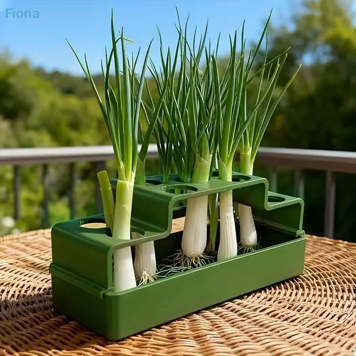 ✔ Jardinière hydroponique pour herbes