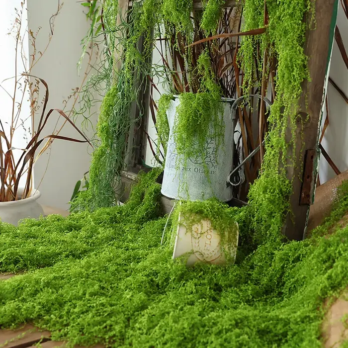 Mousse artificielle imétique pour la décoration de la maison