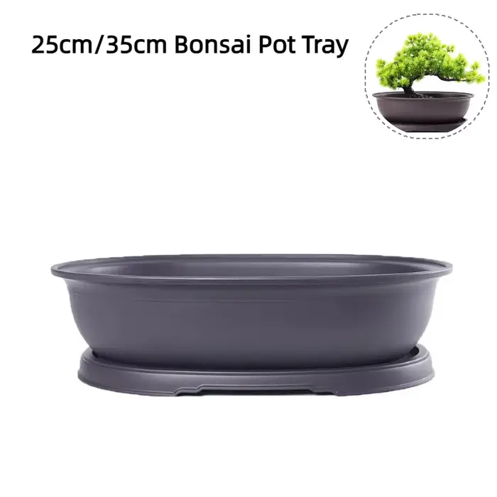 Pots de fleurs en plastique Imitation violet argile plantes