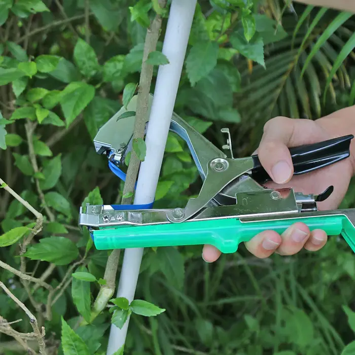 Machine à attacher les plantes de jardin
