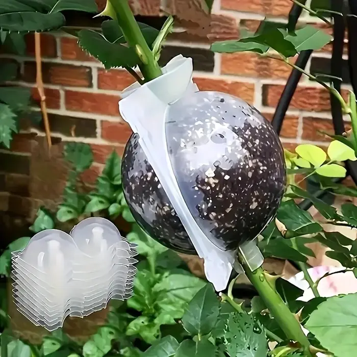 Boule d'enracinement de plantes à haute pression