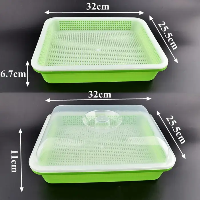 Plats à germer avec couvercle pour plantes à domicile