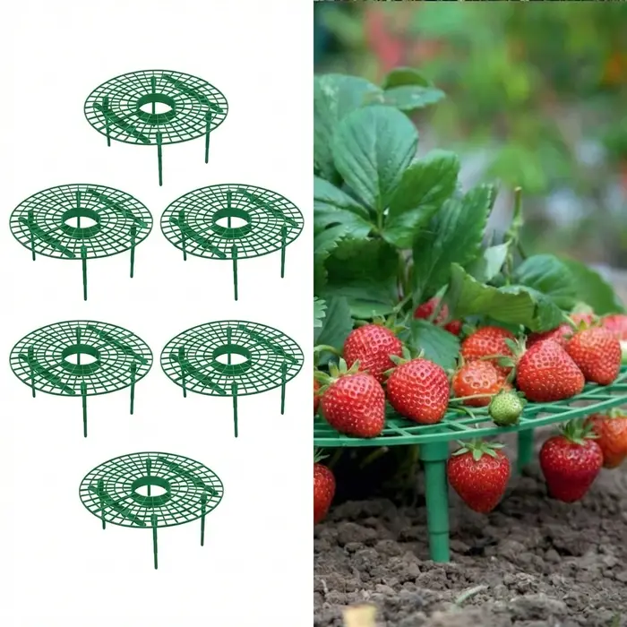 Supports pour plantes de fraises