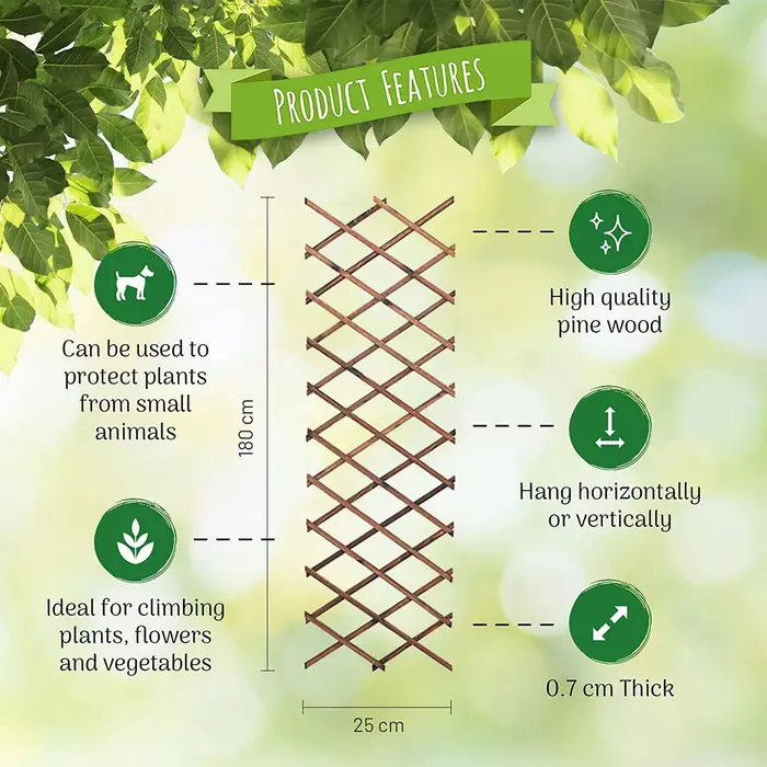 Treillis d'Escalade Extensible pour Plantes Grimpantes
