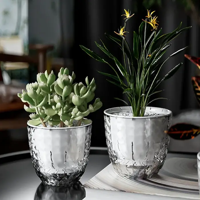 Jardinière paresseuse en plastique Transparent pour radis vert