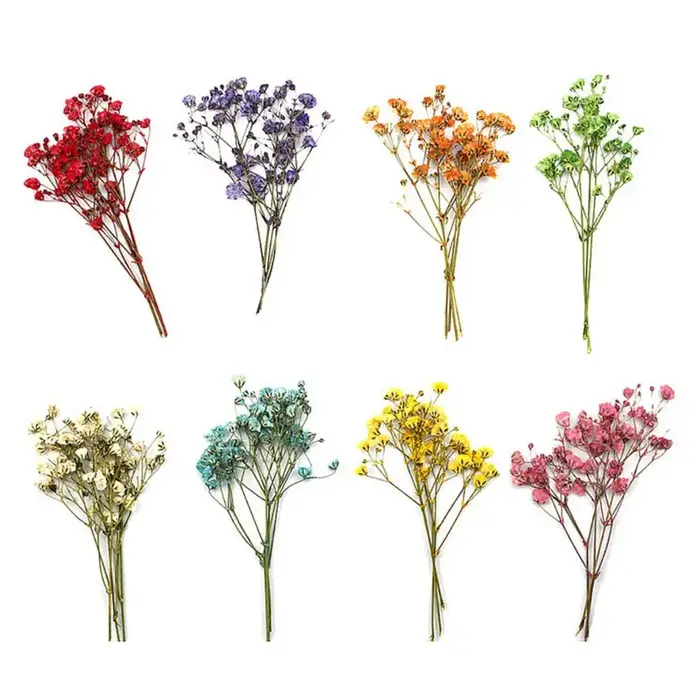Charmants Bouquets de fleurs séchées portables