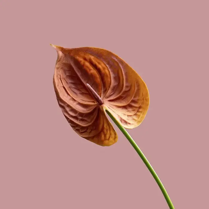Bouquet de fleurs artificielles en PU Anthurium