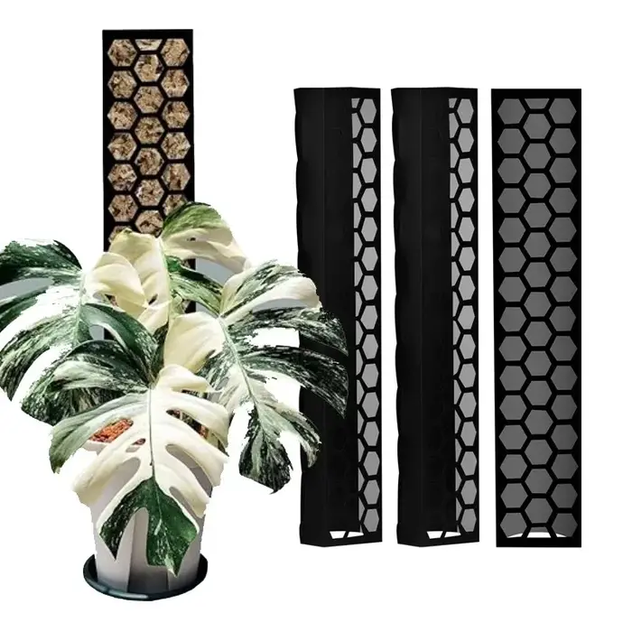 3 piquets de mousse en plastique extensibles pour l'entraînement des plantes grimpantes d'intérieur comme le Monstera pour une croissance verticale