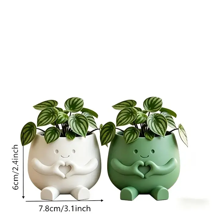 2 pots de plantes porte-bonheur