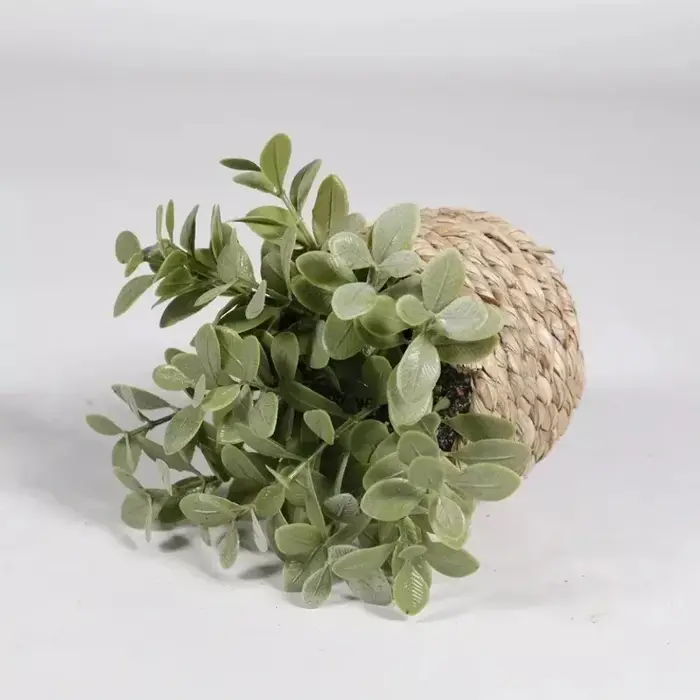 Plante d'eucalyptus artificielle verte de 11 cm – Petite