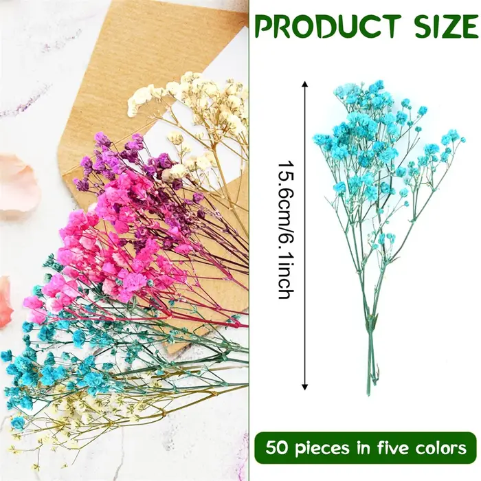 50 Pièces de Fleurs Séchées Naturelles Colorées Gypsophiles pour Arrangements Floraux DIY, Cadeaux de Mariage, Décoration de la Maison, Remplisseurs de Vases