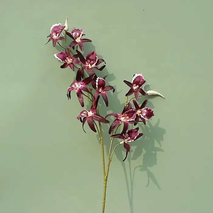 2 Branches d'Orchidées Artificielles Dendrobium Réalistes