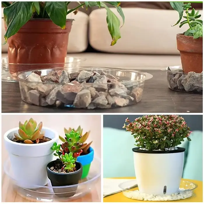 Soucoupe pour plantes de jardin