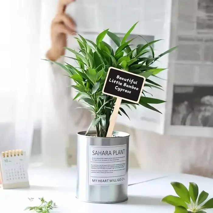 Étiquettes de plantes rustiques en bois, panneaux de jardin en forme de T, tableau noir, support au sol, 10 pièces