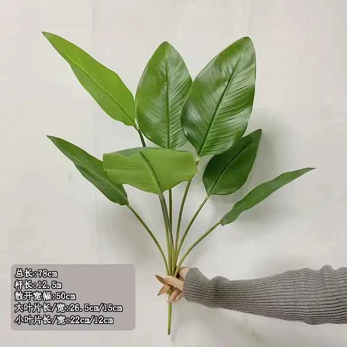 7 feuilles de plantein vert à main