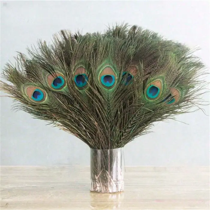 Plumes de paon naturelles 25-30cm