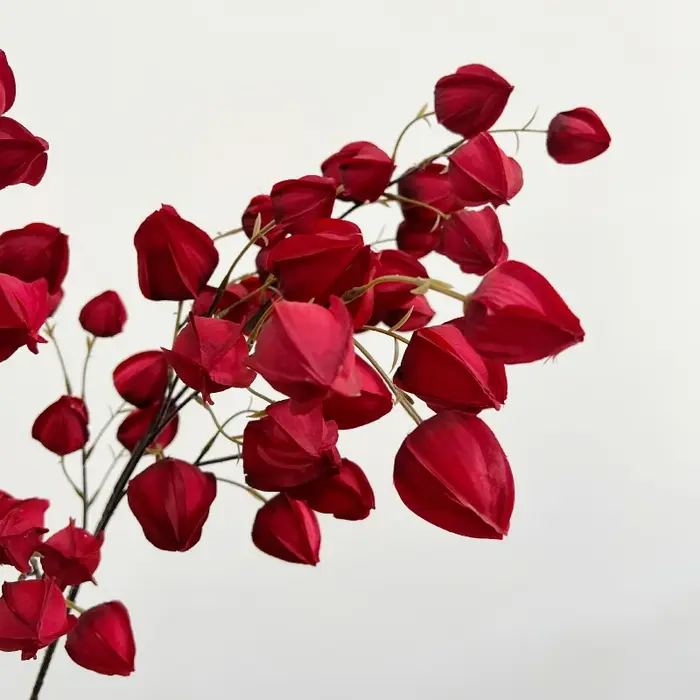 98CM fleur artificielle mousse fruits nordique Ins Arrangement floral décoration de la maison lanterne