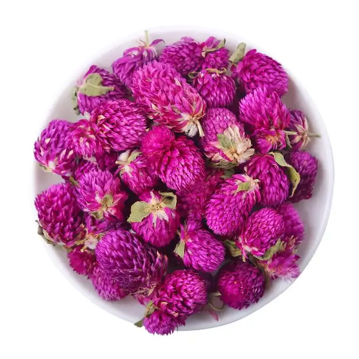 Fleurs séchées de Gomphrena naturelles rouge et violet – Décor de haute qualité pour la fabrication 