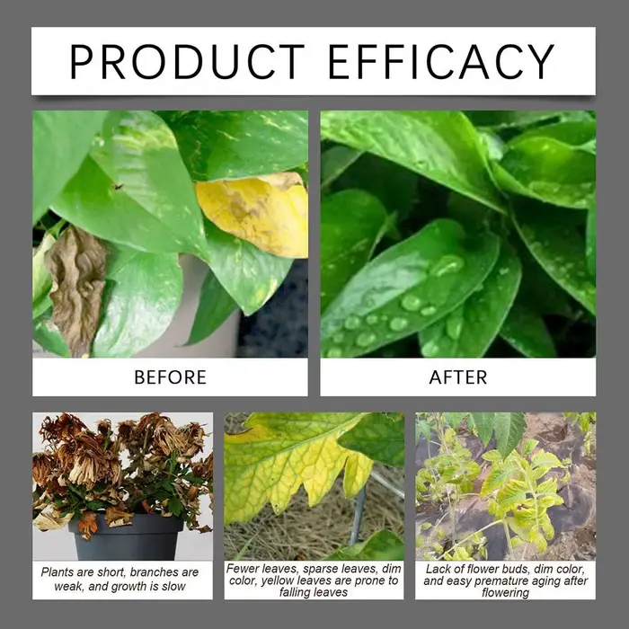 Conditionneur de sol naturel pour plantes en pot