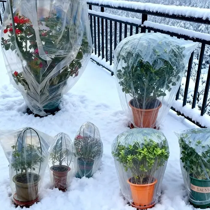 Couvertures de plantes d'hiver