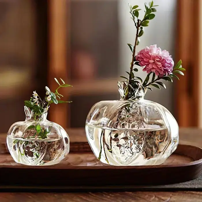 Vase à grenade, plante hydroponique