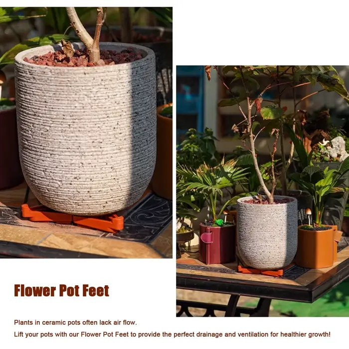 Pieds de Pot de plantes