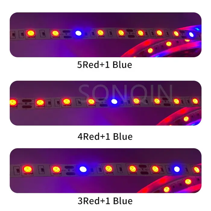 12V Led plante poussent la lumière spectre complet Phyto lampe 1m 2m 3m 5M bande pour graines fleur serre tente plantes hydroponiques éclairage