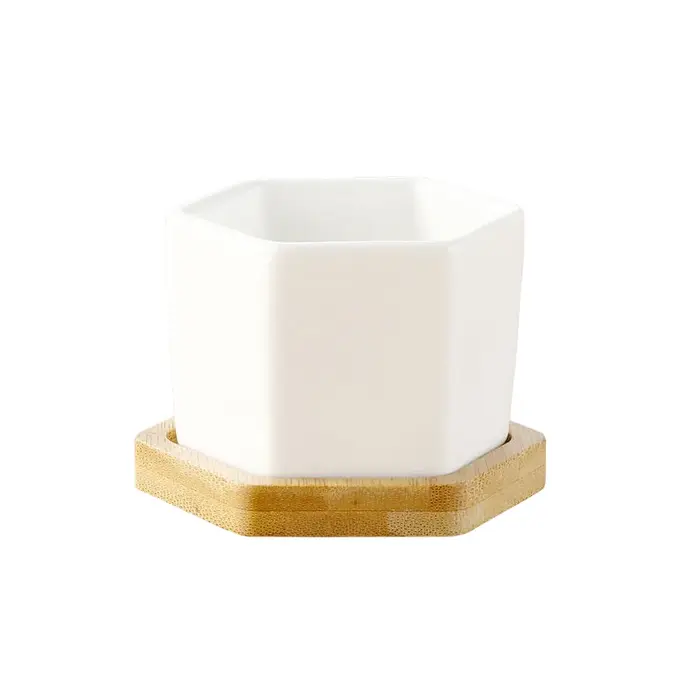 Pot de fleurs en céramique blanc hexagonal avec plateau