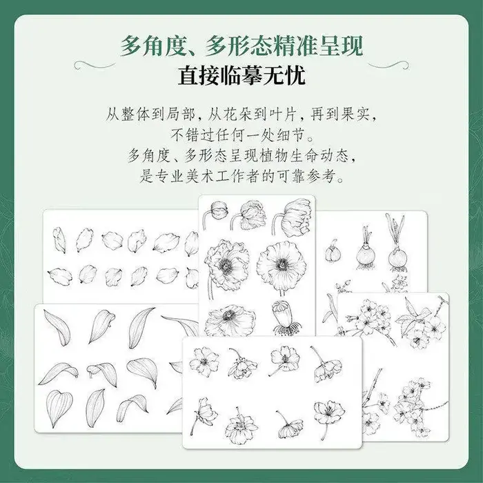 Atlas de croquis de plantes : 51 illustrations de plantes dessinées à la main avec des cartes de traçage pour débutants en illustration florale et peinture.