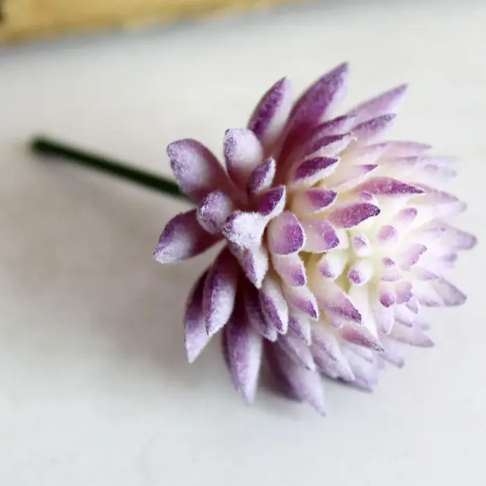 Plantes succulentes artificielles floquées en violet