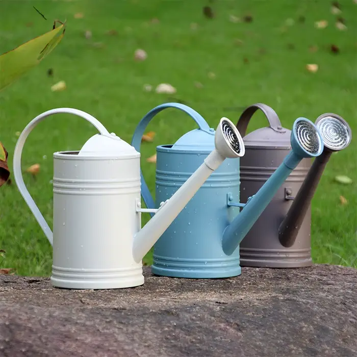 Arrosoir pour plantes avec tête de pulvérisation