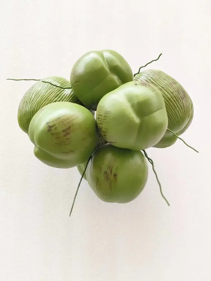 Simulation de fruits de cocotier