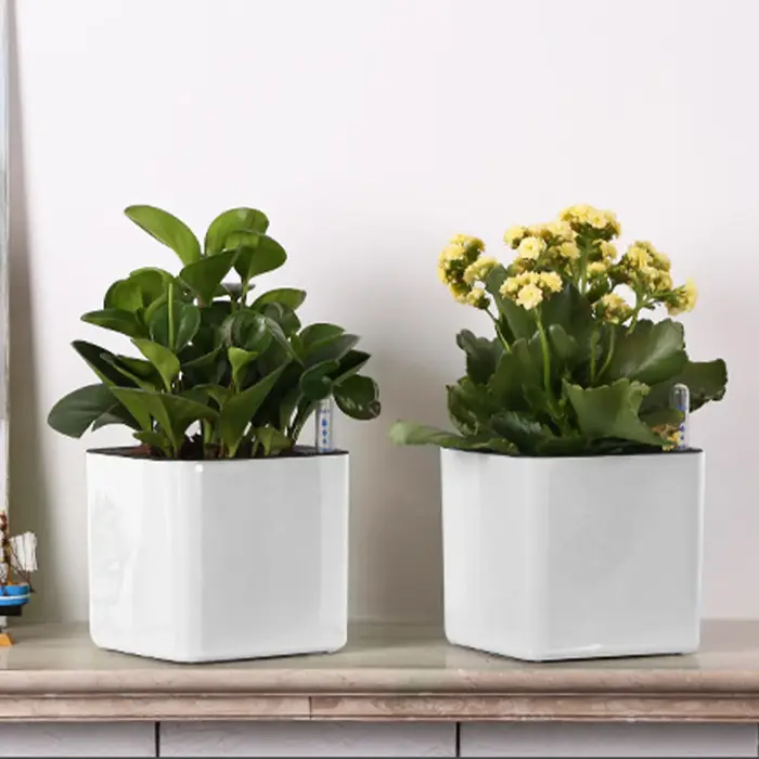 Pots de jardinière à arrosage automatique