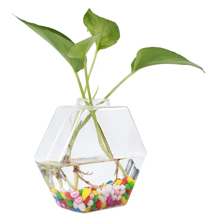 Vases muraux pour plantes d'intérieur