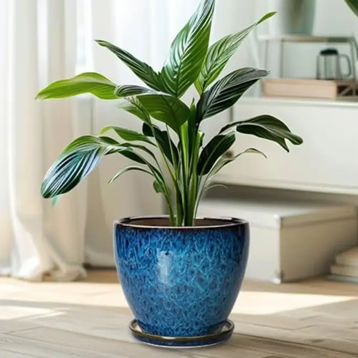 Ensemble de pots de fleurs
