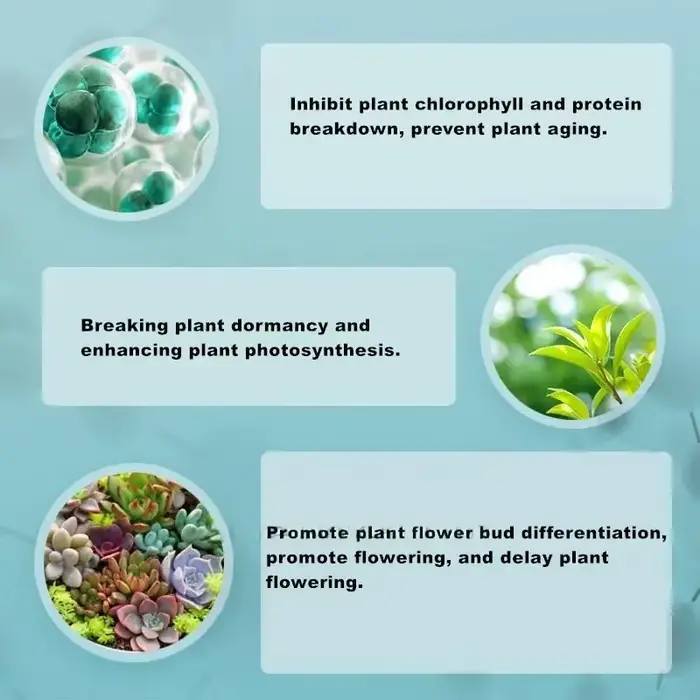 Régulateur de croissance des plantes
