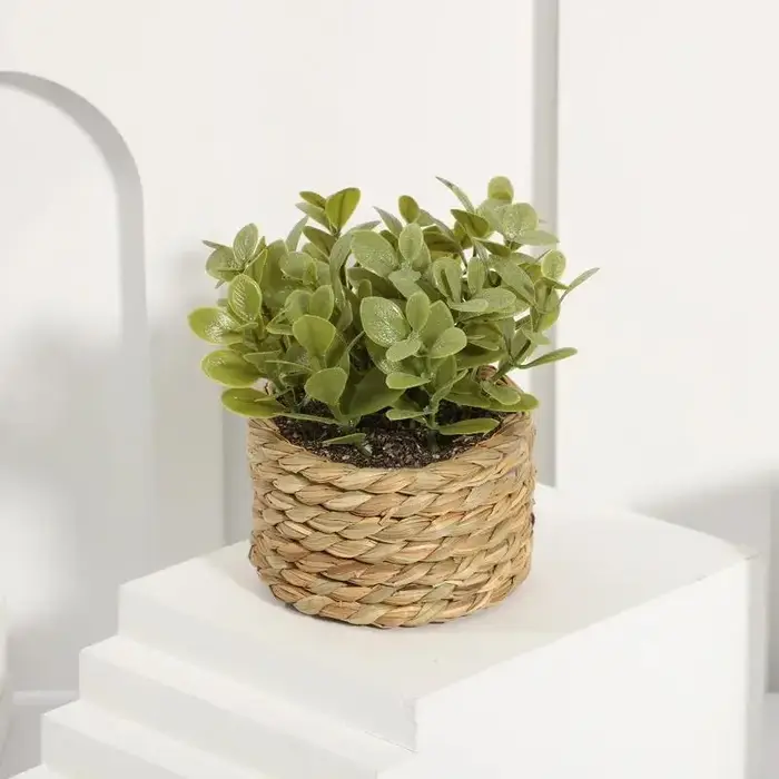 Plante en Pot, petites fausses plantes, décoration intérieure pour la maison, Pot décoratif pour sal