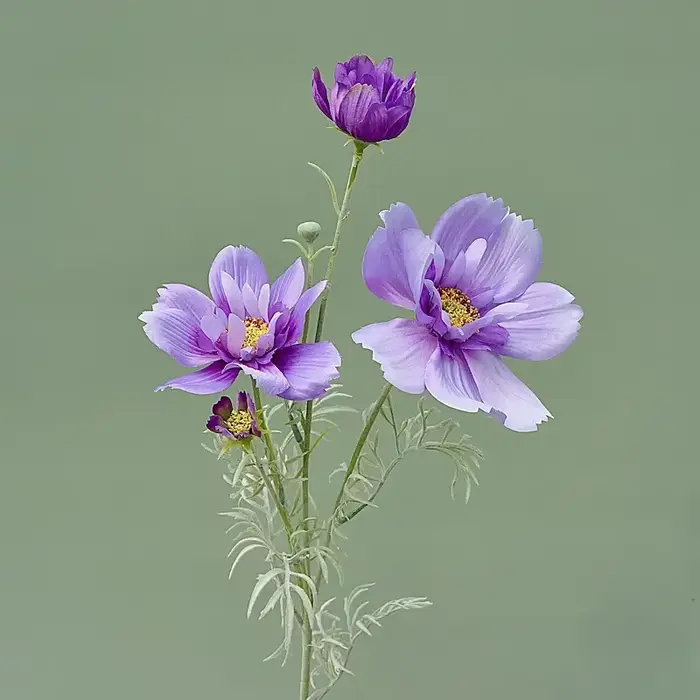 Gesang-Fausse fleur cosmos à branche unique