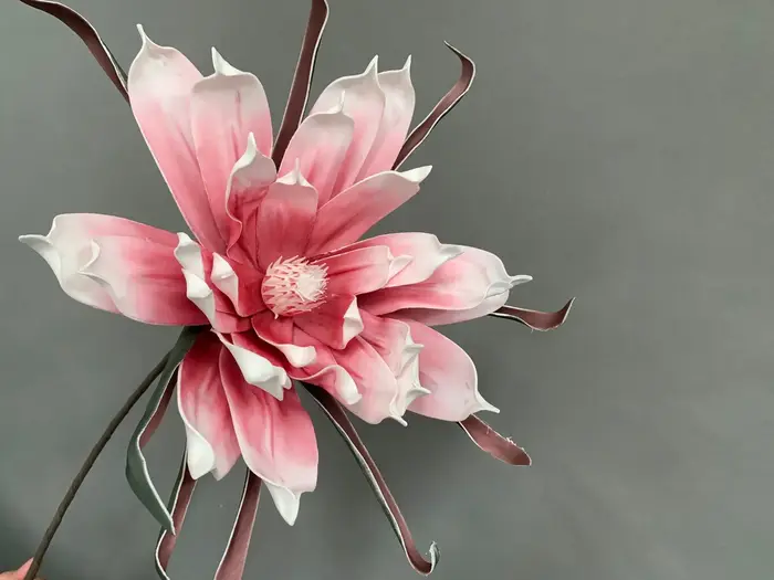 Fleurs Artificielles en Mousse de Magnolia pour Mariage, Grandes Fleurs, Décor d'Arrière-Plan de ixà