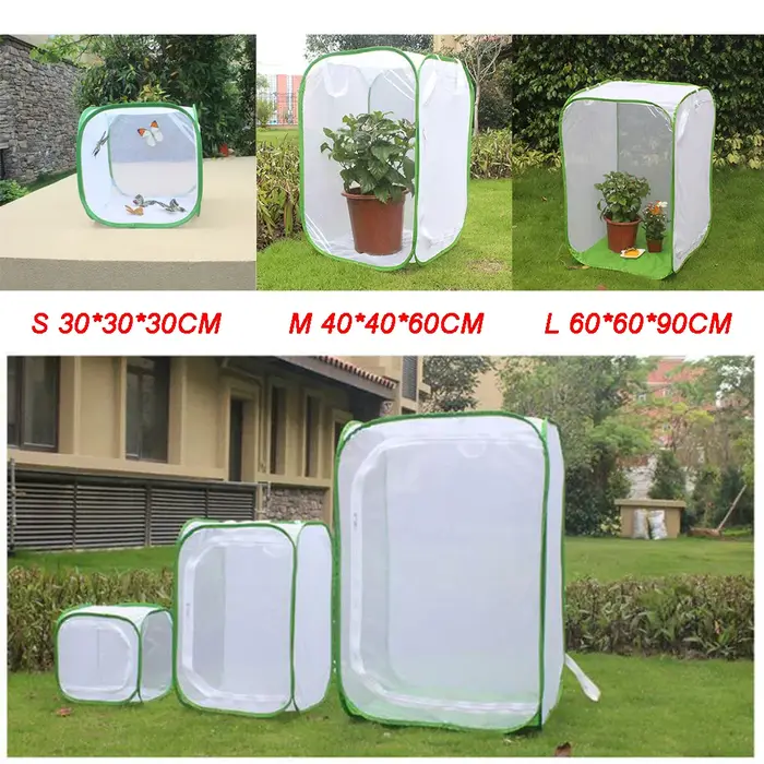 Mini Boîte d'Alimentation Noire pour Insectes